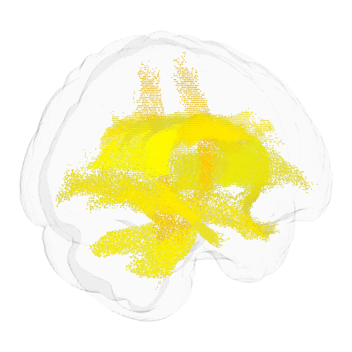 Strain-coloured brain from the trace* platform.
