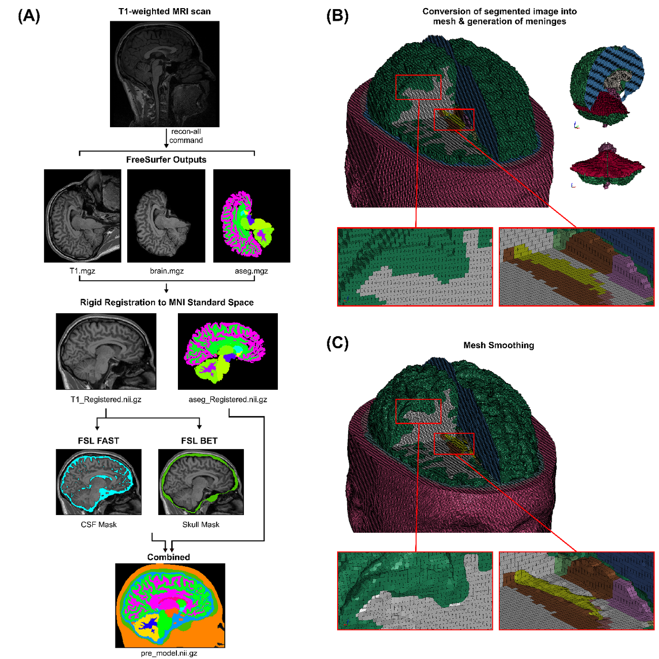 Full PARS pipeline: T1-weighted MRI through FreeSurfer segmentation, rigid registration, FSL FAST/BET tissue masks, conversion into a mesh with algorithmic generation of the meninges, and mesh smoothing.