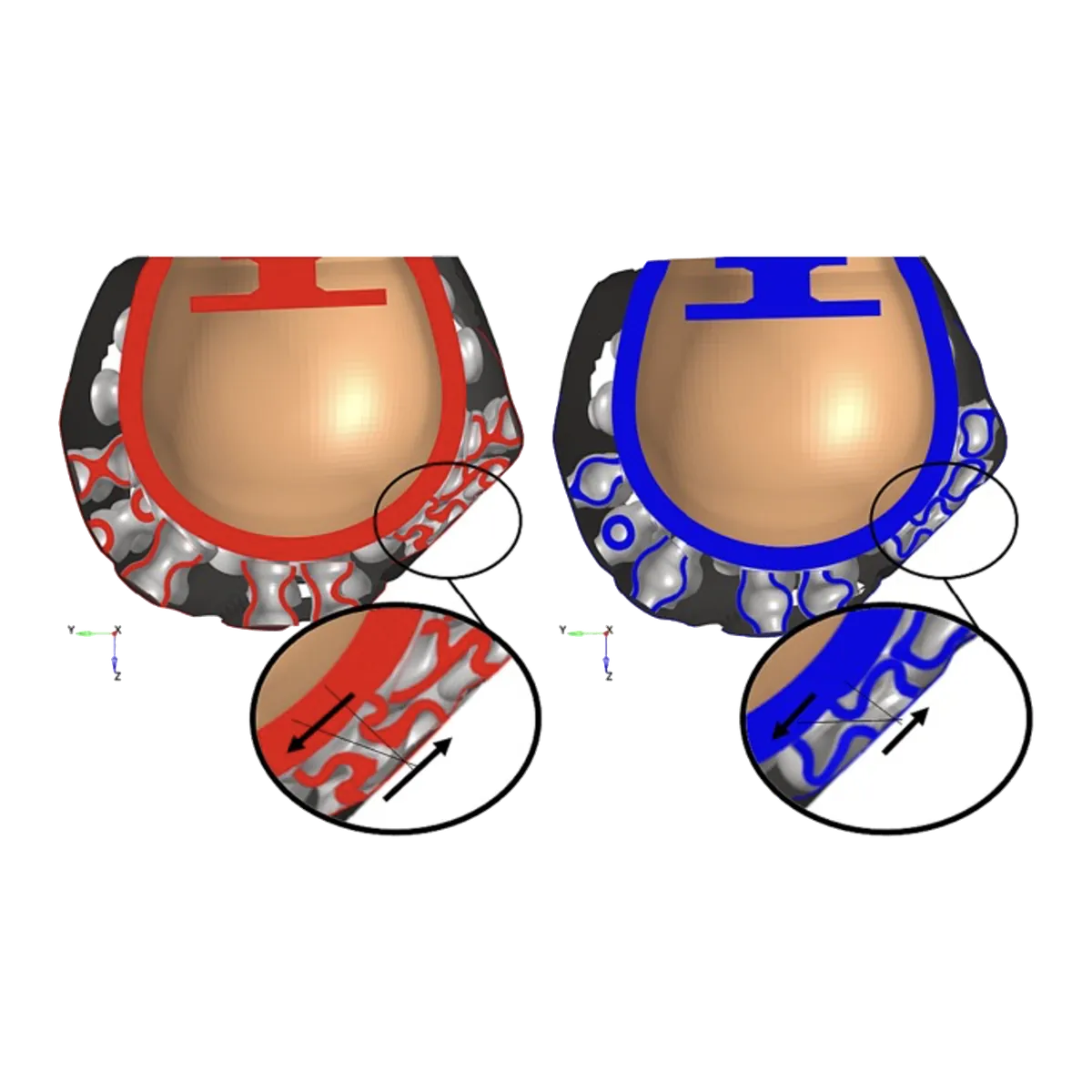 Two finite element head models shown side by side, each with a coloured helmet liner cross-section (red and blue) revealing an internal honeycomb lattice, with magnified insets showing force arrows across the liner at an oblique impact interface.