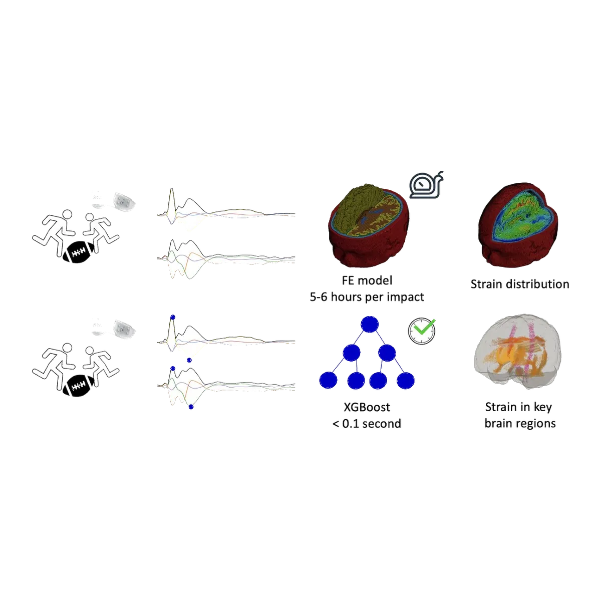 Point-cloud brain coloured by predicted strain from a surrogate model.