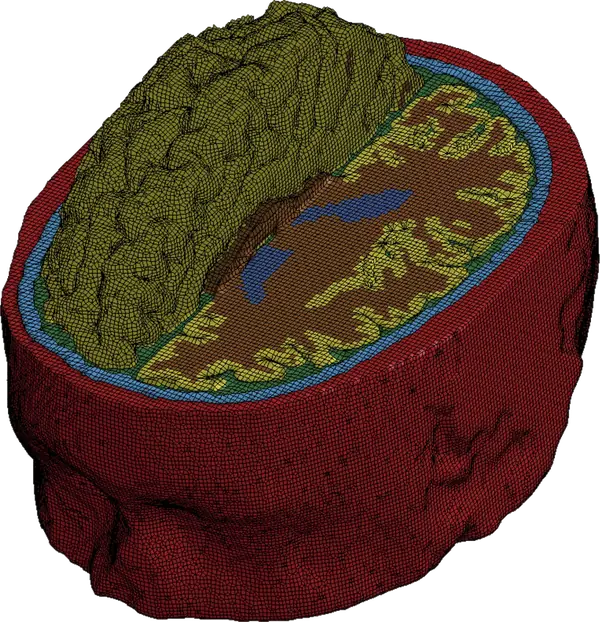 Cutaway view of the Imperial College FE brain mesh, showing the layered finite-element model of the skull, meninges, and brain tissue.